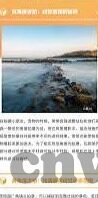 成人直播性视频-成人直播性视频，社会现象的复杂性与影响