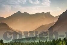 国产糖心vlog在线-国产糖心Vlog的独特魅力，在线观影的甜蜜体验