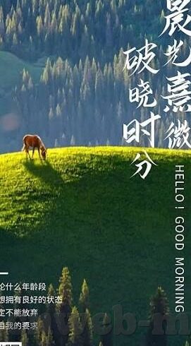 久久久精品国产亚洲av麻豆-在创新与规范中探寻影视内容的边界——媒介伦理与文化价值的平衡