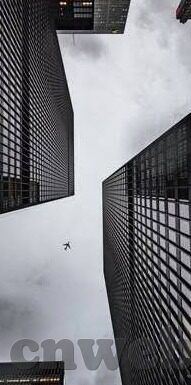 伦理电影网站日本-伦理电影的多元视角，日本网站在文化交流中的角色