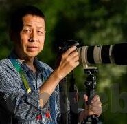 麻豆 91 在线-成人世界里的网络现象，麻豆91在线的复杂探讨