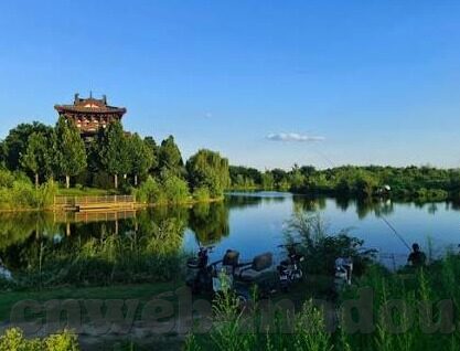 麻豆av .com-网络世界的一场迷雾——揭开麻豆av .com的真实面纱