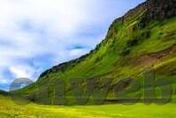 麻豆av免费在线看-麻豆AV资源免费观看的迷思与现实考量