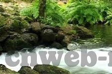 免费看麻豆文化传媒-汪洋网络中的一抹绿洲，免费探索麻豆文化的魅力