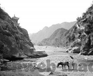 糖心app兑换码免费-解锁甜蜜福利，免费获取糖心app兑换码全攻略