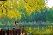糖心交友app软件-数字时代的浪漫邂逅——糖心交友App软件的魅力解析